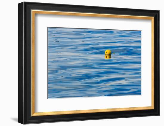 Floating buoy in the ocean, Van Dyks Bay. Western Cape Province, South Africa.-Keren Su-Framed Photographic Print