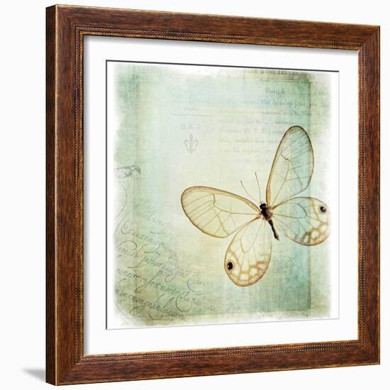 Floating Butterfly I-Debra Van Swearingen-Framed Art Print