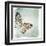 Floating Butterfly IV-Debra Van Swearingen-Framed Art Print