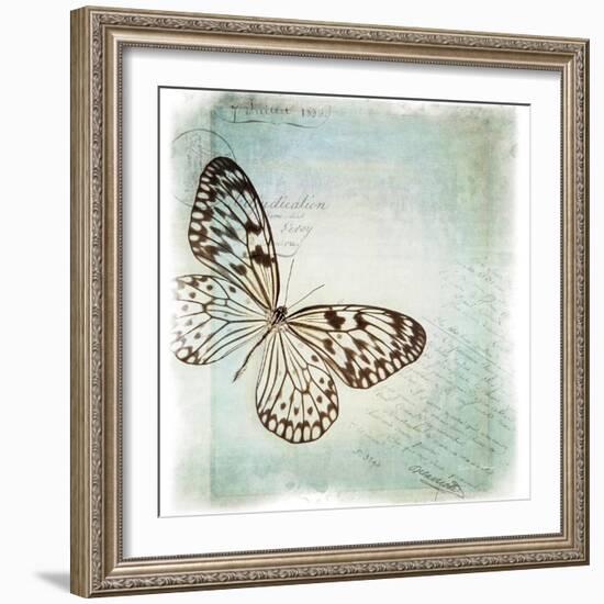 Floating Butterfly IV-Debra Van Swearingen-Framed Art Print