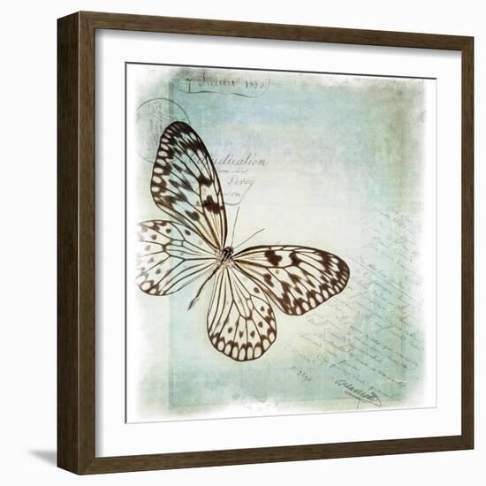 Floating Butterfly IV-Debra Van Swearingen-Framed Art Print