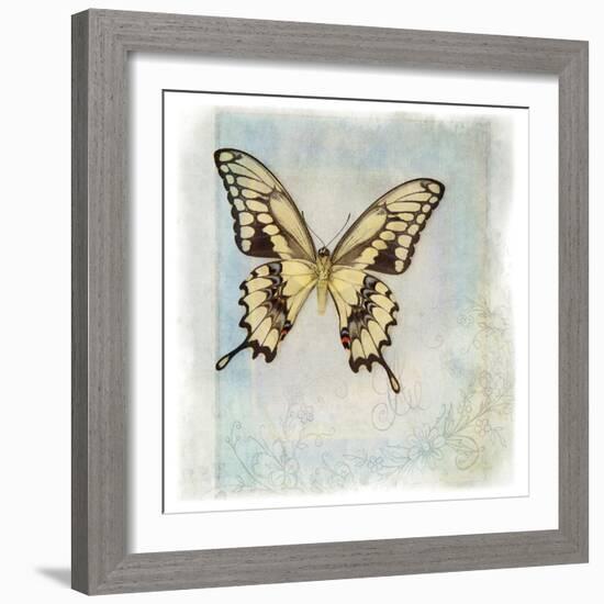 Floating Butterfly V-Debra Van Swearingen-Framed Art Print