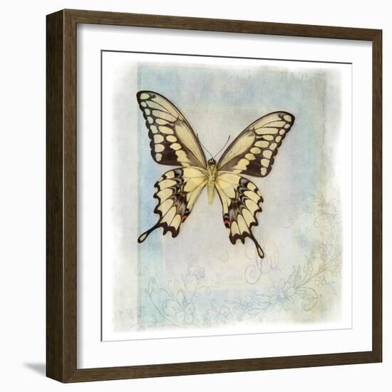 Floating Butterfly V-Debra Van Swearingen-Framed Art Print