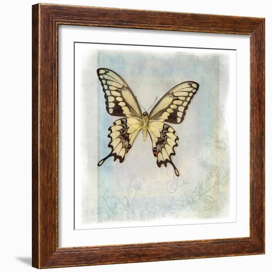 Floating Butterfly V-Debra Van Swearingen-Framed Art Print