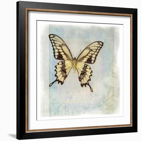 Floating Butterfly V-Debra Van Swearingen-Framed Art Print