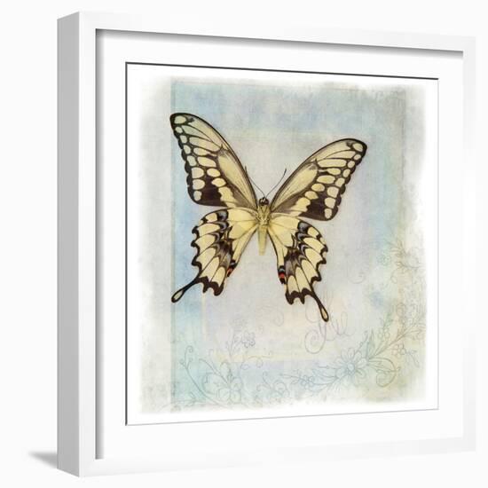 Floating Butterfly V-Debra Van Swearingen-Framed Art Print