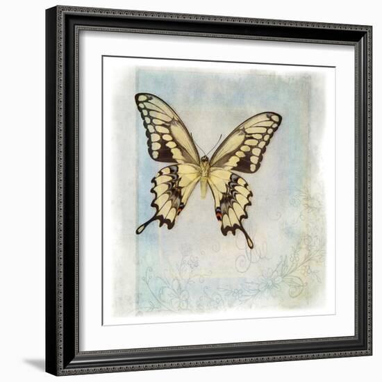 Floating Butterfly V-Debra Van Swearingen-Framed Art Print