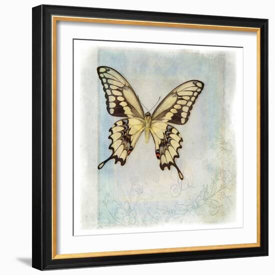 Floating Butterfly V-Debra Van Swearingen-Framed Art Print