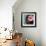 Floating Dreams I-Tony Koukos-Framed Giclee Print displayed on a wall