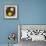 Floating Dreams III-Tony Koukos-Framed Giclee Print displayed on a wall