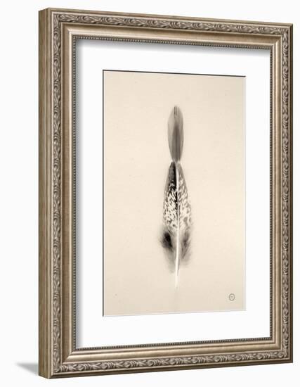 Floating Feathers I Sepia-Nathan Larson-Framed Photographic Print