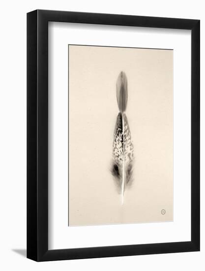 Floating Feathers I Sepia-Nathan Larson-Framed Photographic Print