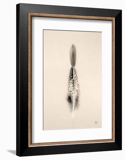 Floating Feathers I Sepia-Nathan Larson-Framed Photographic Print