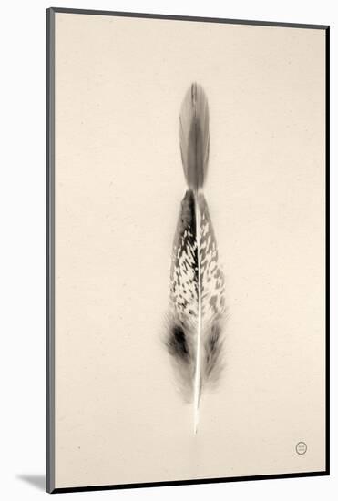 Floating Feathers I Sepia-Nathan Larson-Mounted Photographic Print