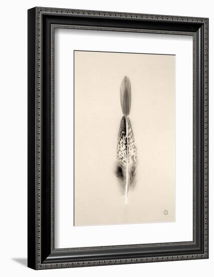 Floating Feathers I Sepia-Nathan Larson-Framed Photographic Print