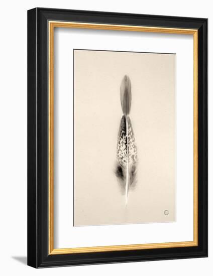 Floating Feathers I Sepia-Nathan Larson-Framed Photographic Print