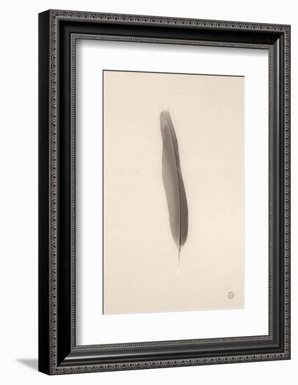 Floating Feathers II Sepia-Nathan Larson-Framed Photographic Print