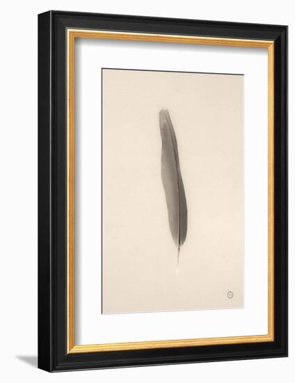 Floating Feathers II Sepia-Nathan Larson-Framed Photographic Print