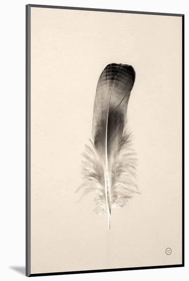 Floating Feathers IV Sepia-Nathan Larson-Mounted Photographic Print