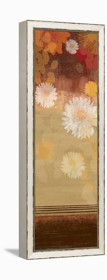 Floating Florals II-Andrew Michaels-Framed Stretched Canvas