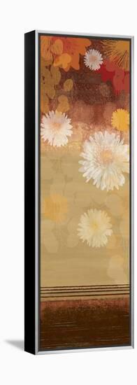 Floating Florals II-Andrew Michaels-Framed Stretched Canvas