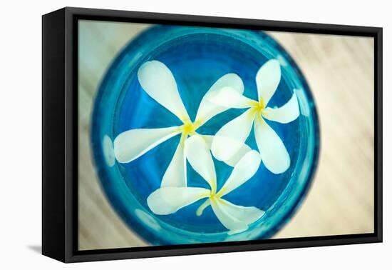 Floating Flowers I-Karyn Millet-Framed Stretched Canvas