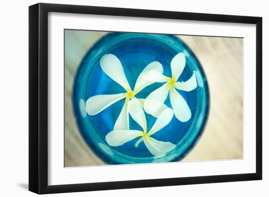 Floating Flowers I-Karyn Millet-Framed Photo