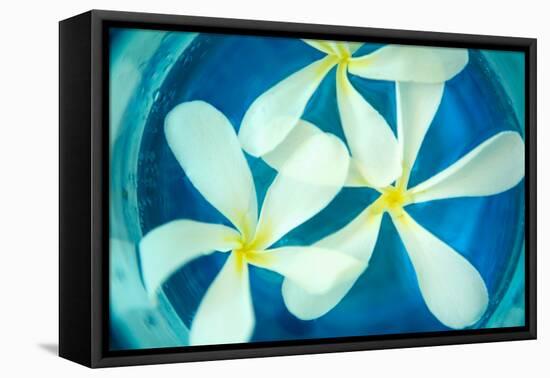 Floating Flowers II-Karyn Millet-Framed Stretched Canvas