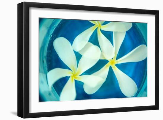 Floating Flowers II-Karyn Millet-Framed Photo