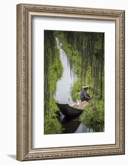 Floating Gardens, Inle Lake, Shan State, Myanmar (Burma), Asia-Matthew Williams-Ellis-Framed Photographic Print