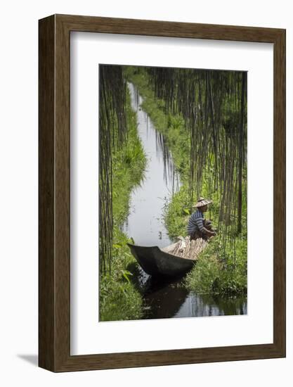 Floating Gardens, Inle Lake, Shan State, Myanmar (Burma), Asia-Matthew Williams-Ellis-Framed Photographic Print