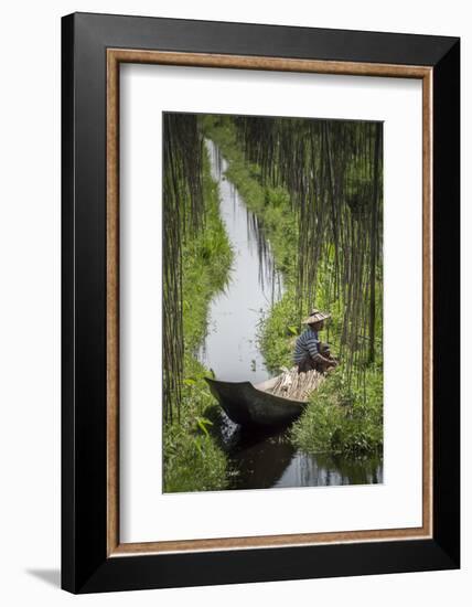 Floating Gardens, Inle Lake, Shan State, Myanmar (Burma), Asia-Matthew Williams-Ellis-Framed Photographic Print