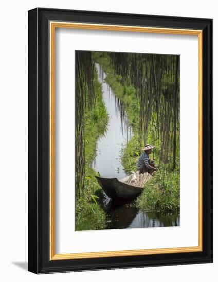 Floating Gardens, Inle Lake, Shan State, Myanmar (Burma), Asia-Matthew Williams-Ellis-Framed Photographic Print