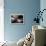 Floating-Home Owner Warren Owen Fonslor in His Bedroom, Sausalito, CA, 1971-Michael Rougier-Framed Premier Image Canvas displayed on a wall