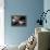 Floating-Home Owner Warren Owen Fonslor in His Bedroom, Sausalito, CA, 1971-Michael Rougier-Framed Premier Image Canvas displayed on a wall