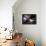 Floating-Home Owner Warren Owen Fonslor in His Bedroom, Sausalito, CA, 1971-Michael Rougier-Framed Premier Image Canvas displayed on a wall