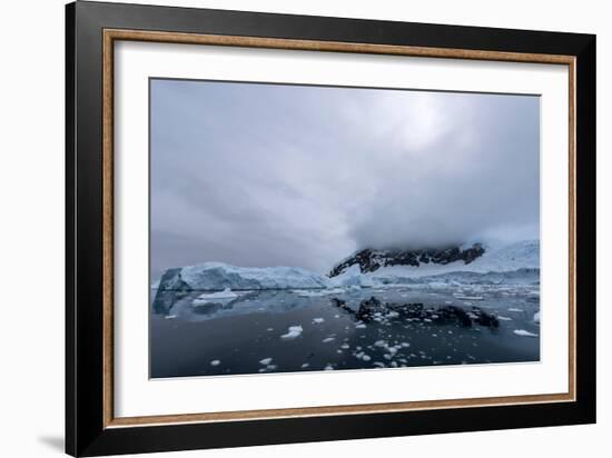 Floating Ice Mountains and Coastline Neko Harbour Antarctic Peninsula Antarctica-Renato Granieri-Framed Photographic Print