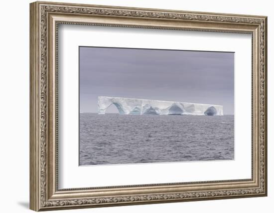 Floating iceberg, Elephant Island, South Shetland Islands, Antarctica, Polar Regions-Michael Runkel-Framed Photographic Print