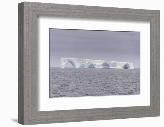 Floating iceberg, Elephant Island, South Shetland Islands, Antarctica, Polar Regions-Michael Runkel-Framed Photographic Print