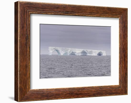 Floating iceberg, Elephant Island, South Shetland Islands, Antarctica, Polar Regions-Michael Runkel-Framed Photographic Print