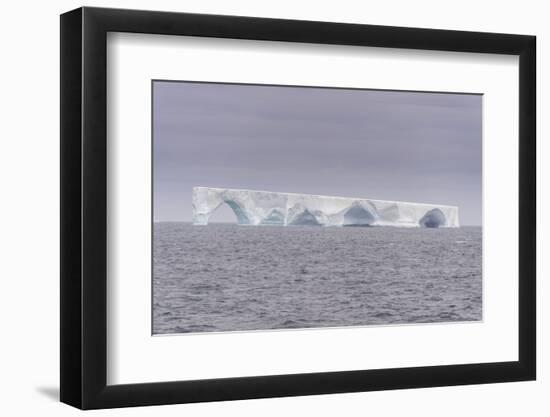 Floating iceberg, Elephant Island, South Shetland Islands, Antarctica, Polar Regions-Michael Runkel-Framed Photographic Print