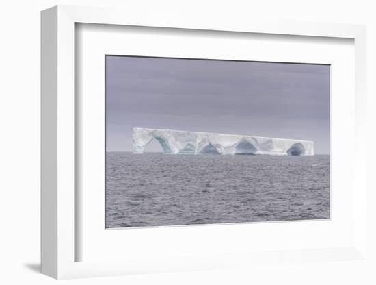 Floating iceberg, Elephant Island, South Shetland Islands, Antarctica, Polar Regions-Michael Runkel-Framed Photographic Print