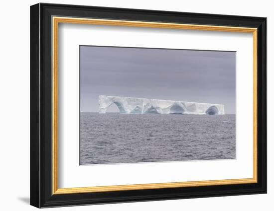 Floating iceberg, Elephant Island, South Shetland Islands, Antarctica, Polar Regions-Michael Runkel-Framed Photographic Print