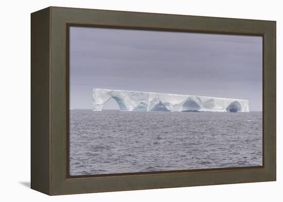 Floating iceberg, Elephant Island, South Shetland Islands, Antarctica, Polar Regions-Michael Runkel-Framed Premier Image Canvas