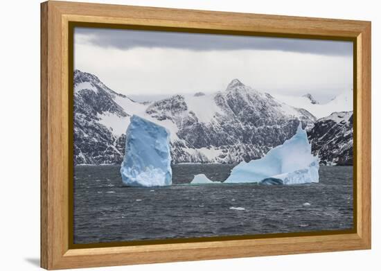 Floating iceberg, Elephant Island, South Shetland Islands, Antarctica, Polar Regions-Michael Runkel-Framed Premier Image Canvas