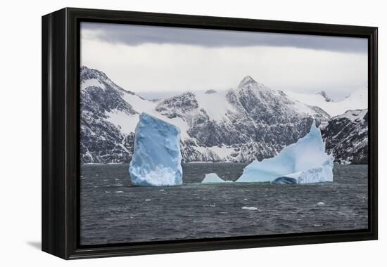 Floating iceberg, Elephant Island, South Shetland Islands, Antarctica, Polar Regions-Michael Runkel-Framed Premier Image Canvas