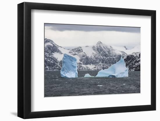 Floating iceberg, Elephant Island, South Shetland Islands, Antarctica, Polar Regions-Michael Runkel-Framed Photographic Print