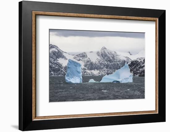 Floating iceberg, Elephant Island, South Shetland Islands, Antarctica, Polar Regions-Michael Runkel-Framed Photographic Print