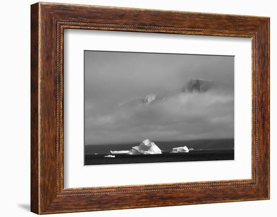 Floating iceberg in the ocean, Greenland-Keren Su-Framed Photographic Print