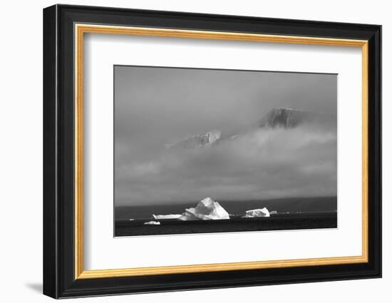 Floating iceberg in the ocean, Greenland-Keren Su-Framed Photographic Print